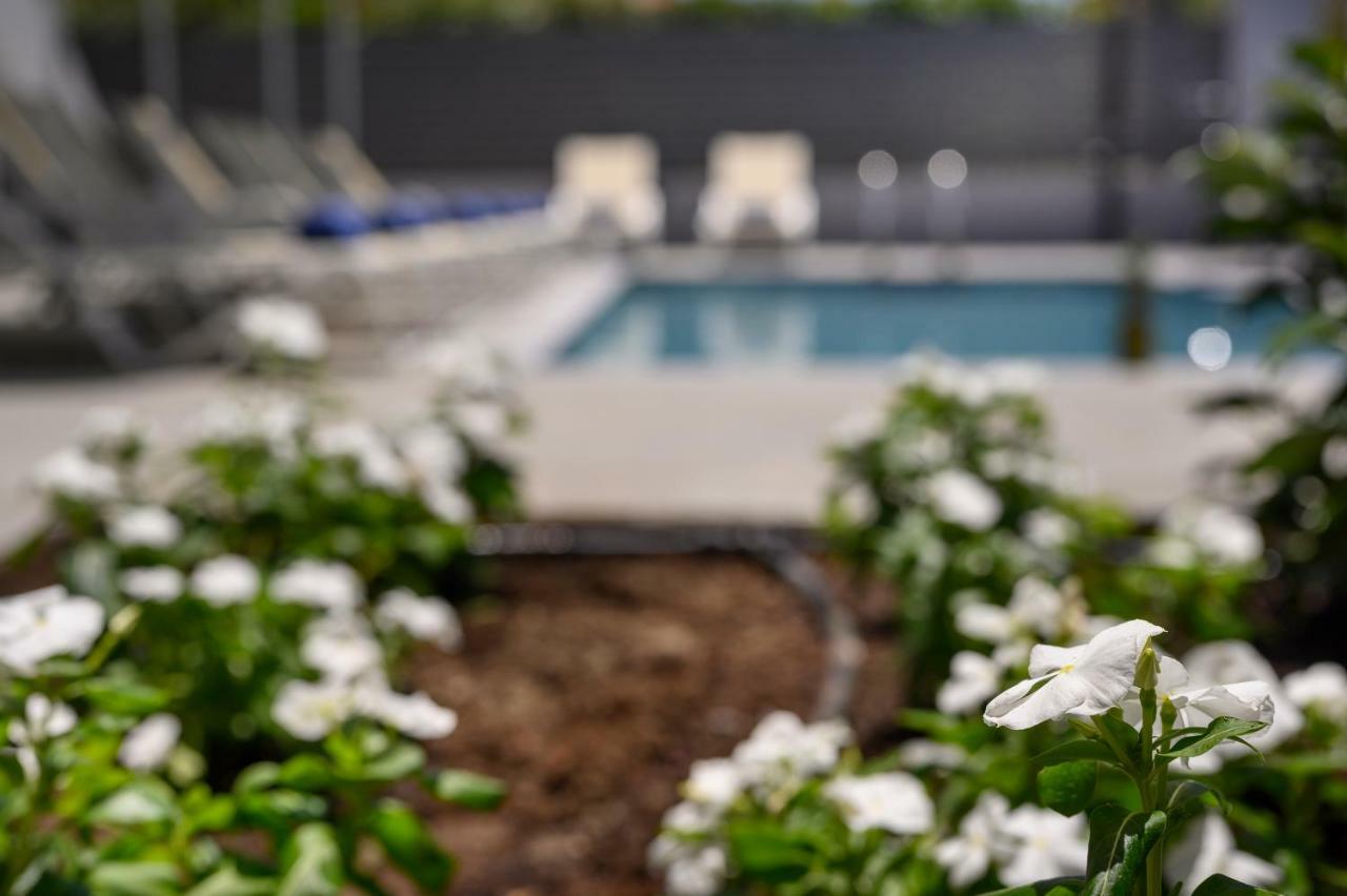 Athina Suites Luxury Suites Near The Sea Platanias Platanés Eksteriør billede